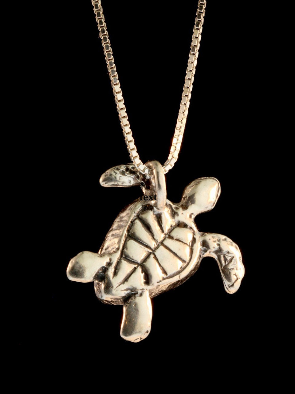 Backside of Sea Turtles