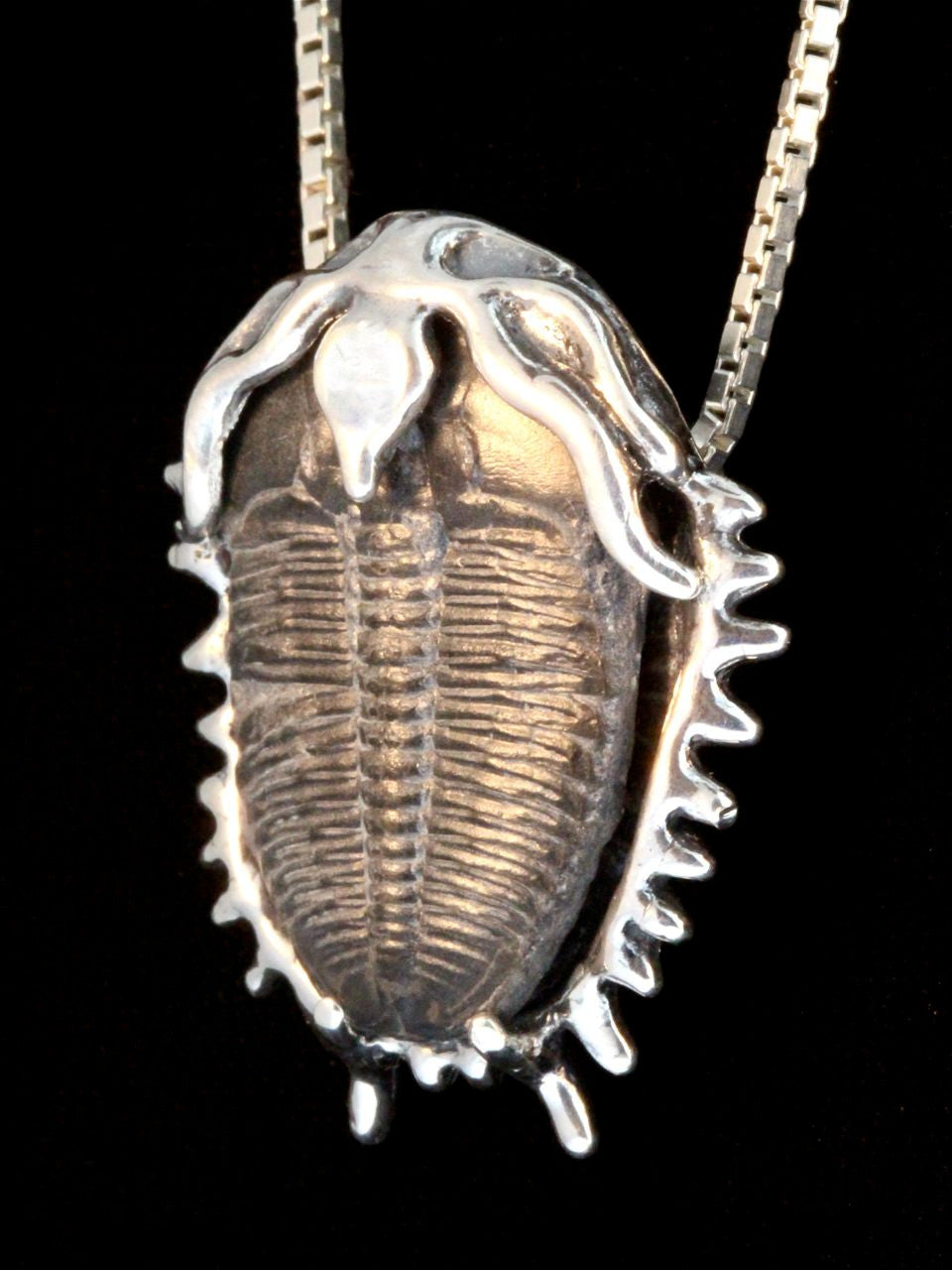 Trilobite Pendant in Sterling Silver