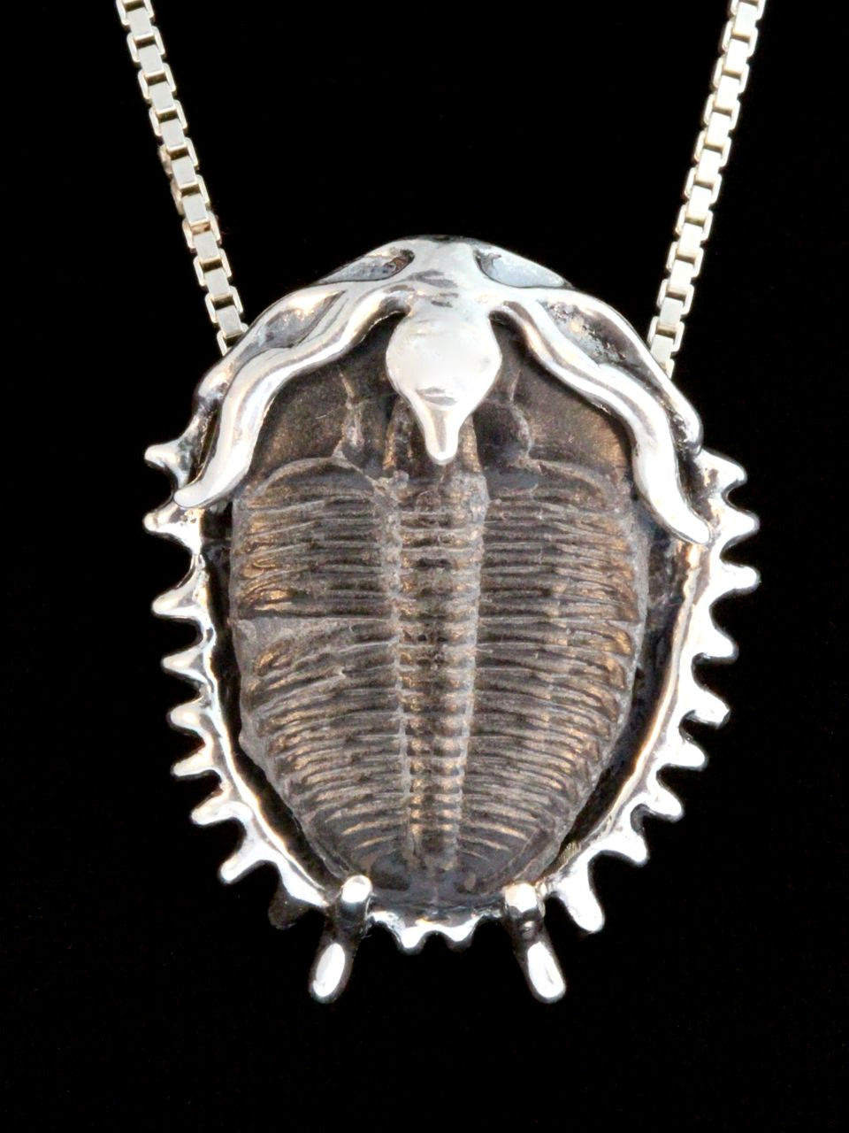 Trilobite Pendant in Sterling Silver