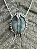 Trilobite Fossil Pendant - Sterling Silver