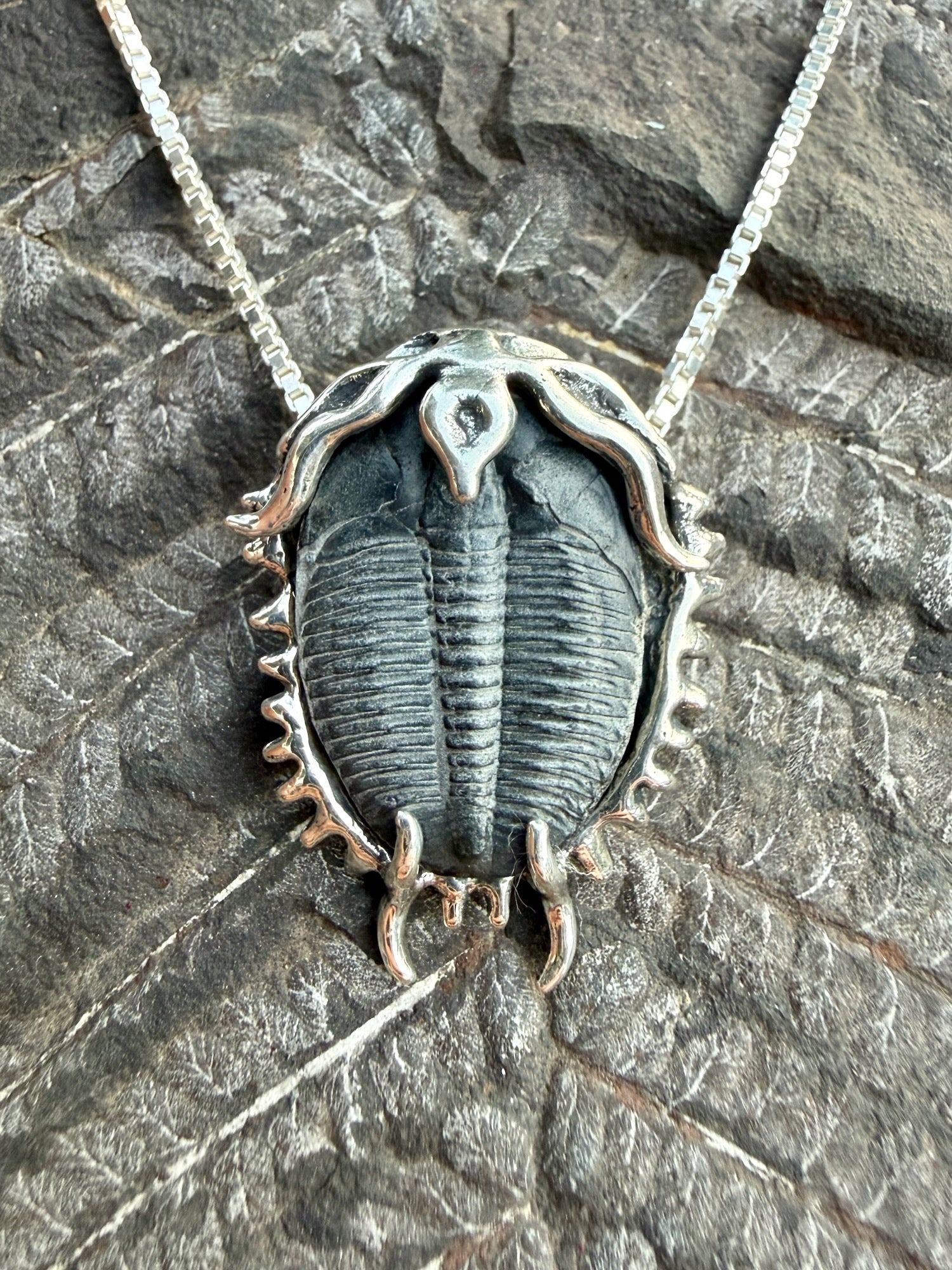 Trilobite Fossil Pendant - Sterling Silver