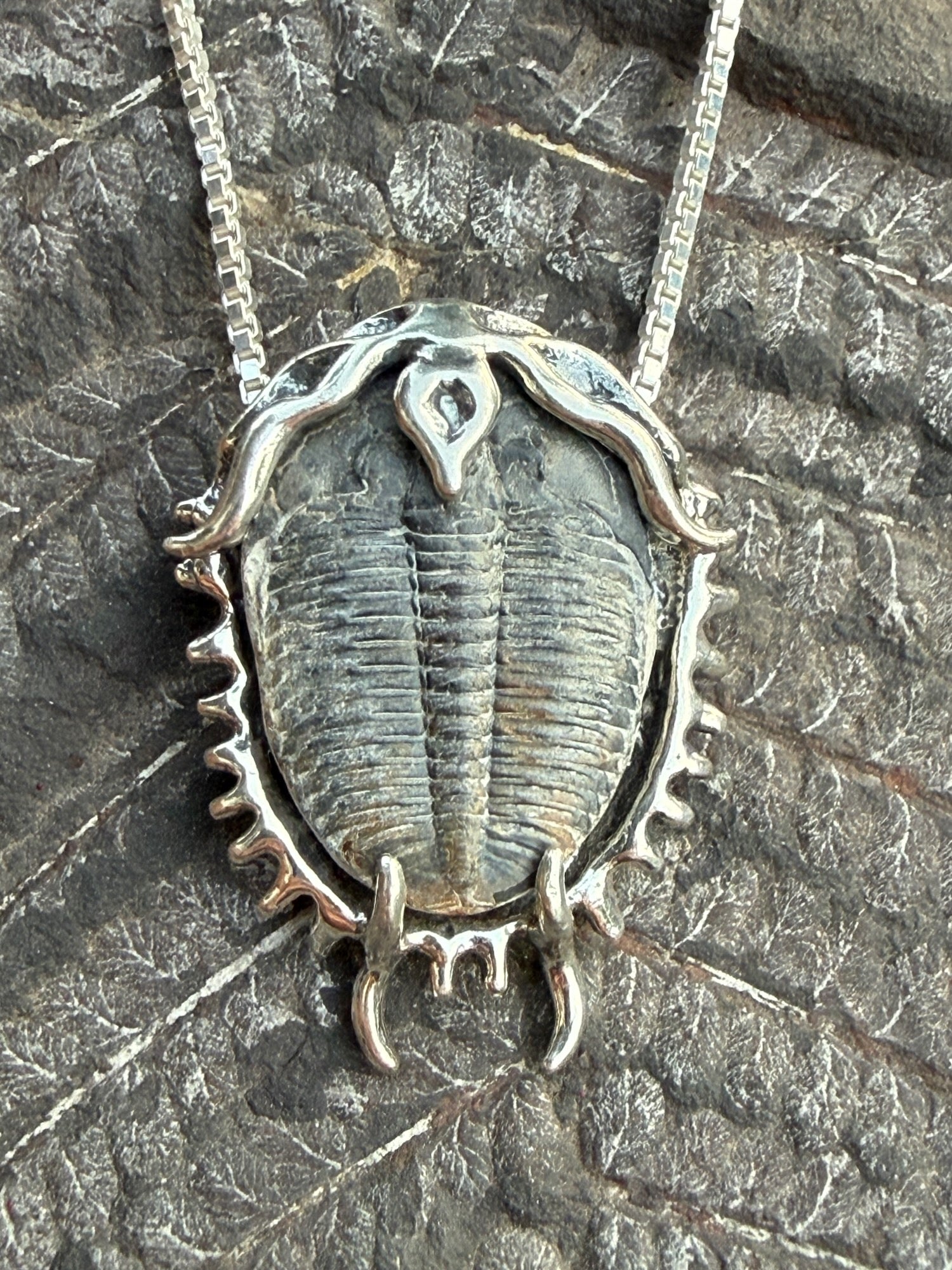 Trilobite Fossil Pendant - Sterling Silver
