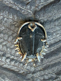 Genuine Trilobite Fossil Ring - Sterling Silver