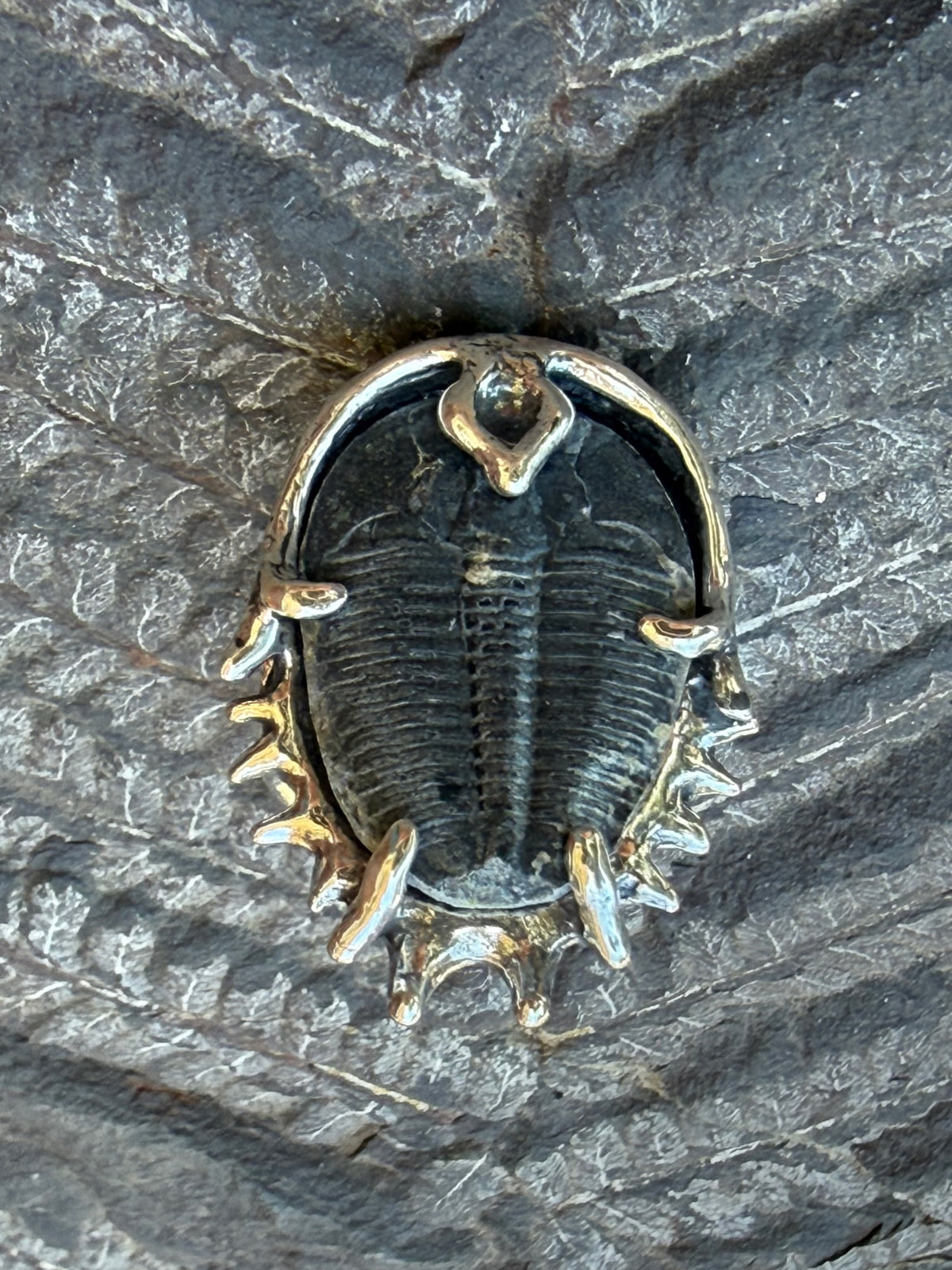 Genuine Trilobite Fossil Ring - Sterling Silver