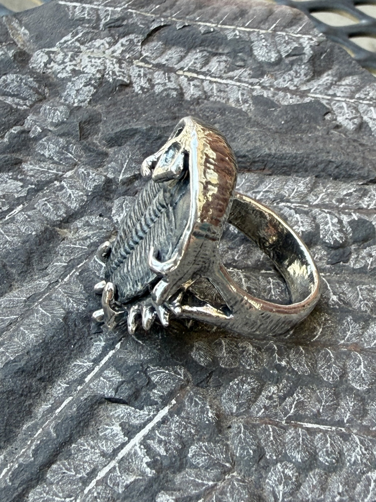 Genuine Trilobite Fossil Ring - Sterling Silver