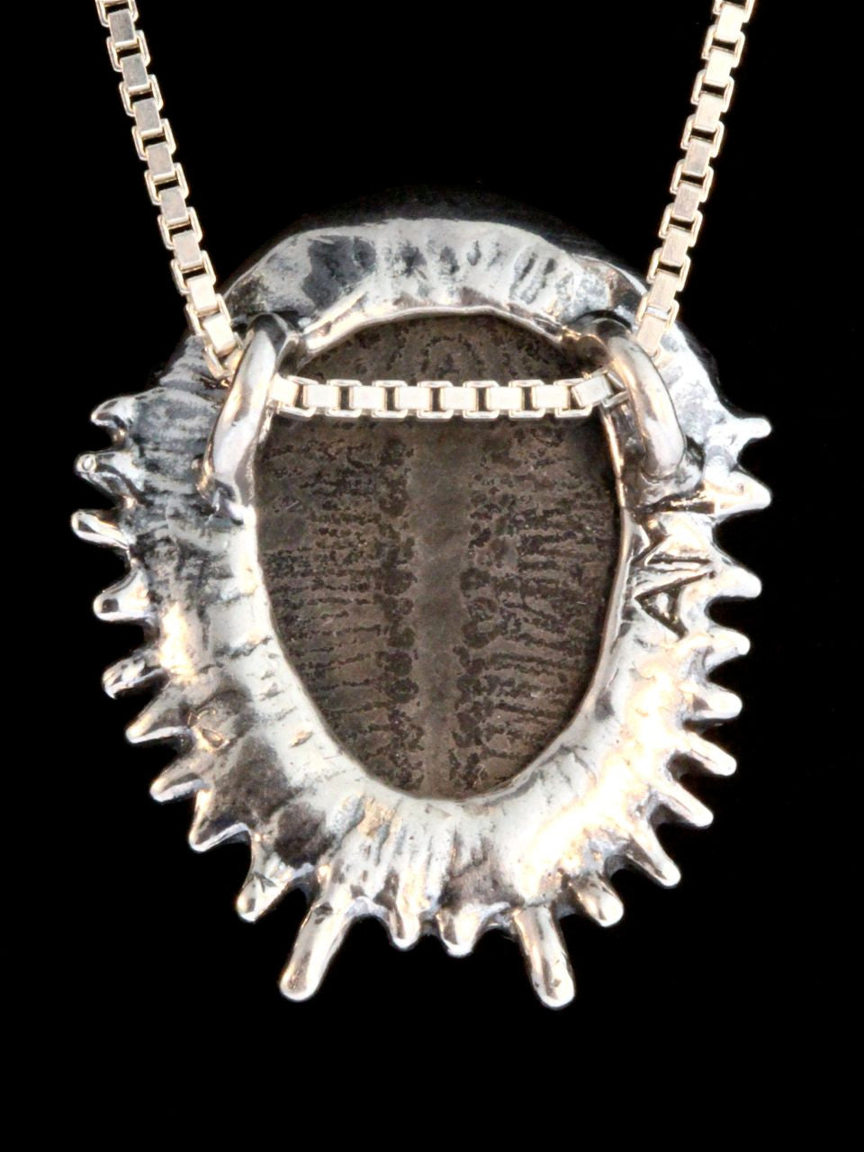 Trilobite Pendant in Sterling Silver