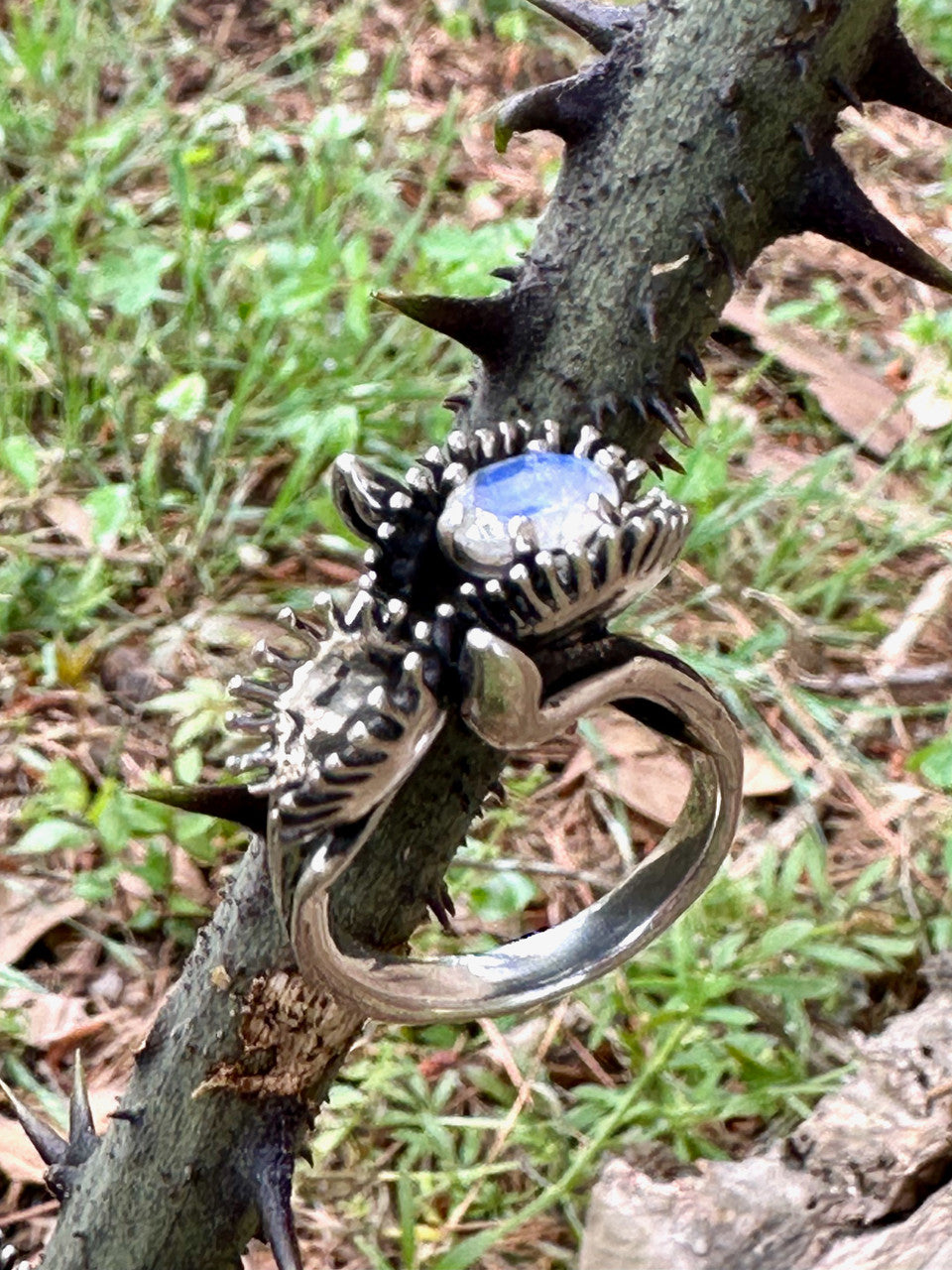 Venus Flytrap Ring with Rainbow Moonstone - Silver