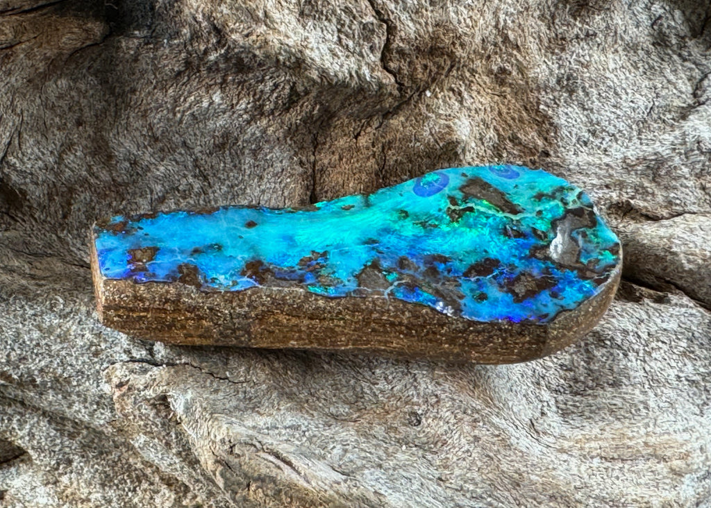 Yongala Australian Boulder Opal - 116.2 carat