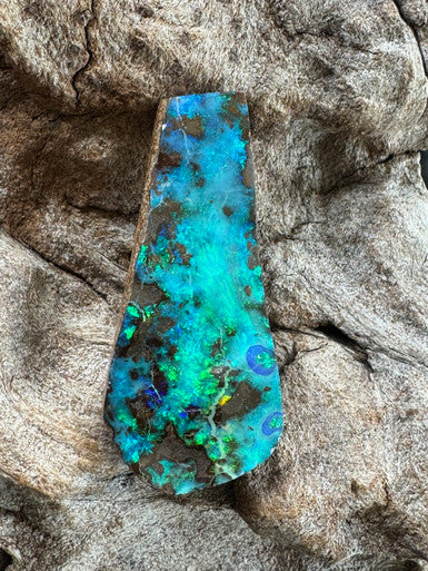 Yongala Australian Boulder Opal - 116.2 carat