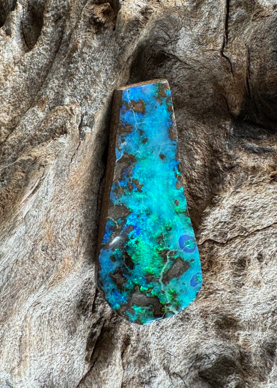Yongala Australian Boulder Opal - 116.2 carat