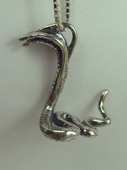 Snake - Cobra Charm