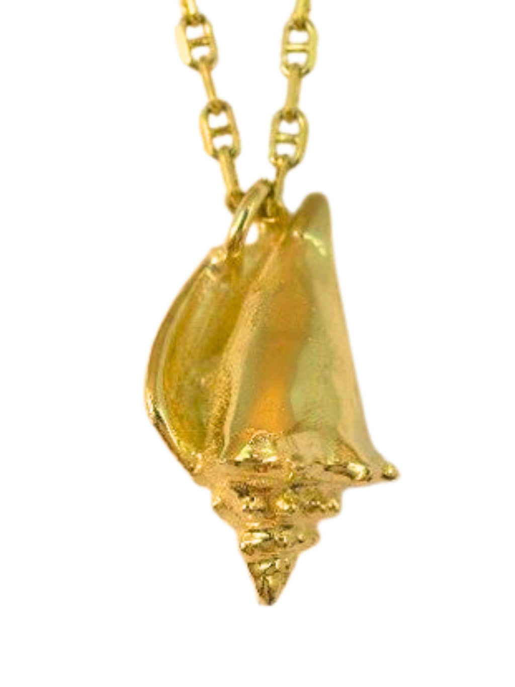Conch Shell Charm - 14k Gold
