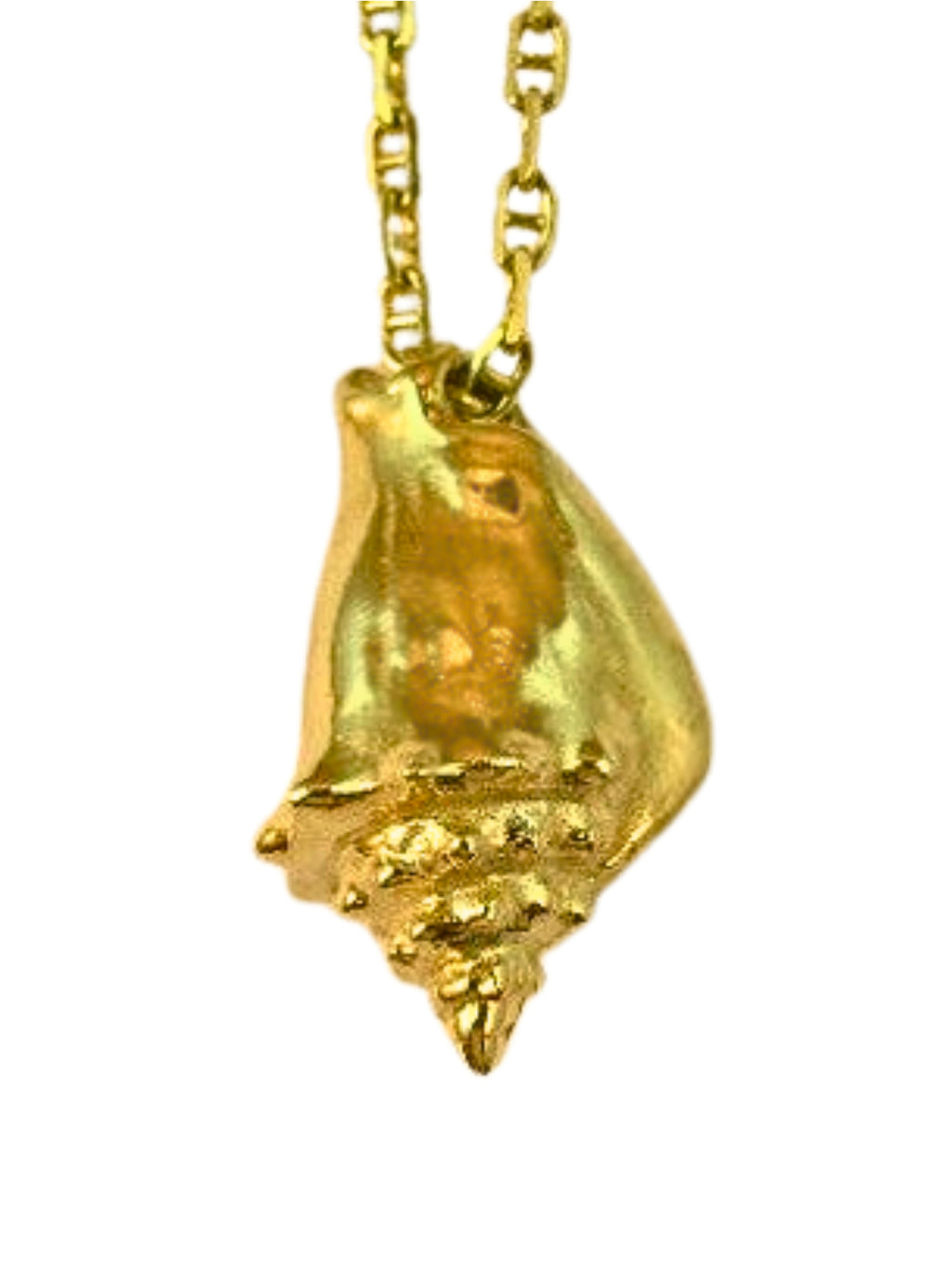 Conch Shell Charm - 14k Gold
