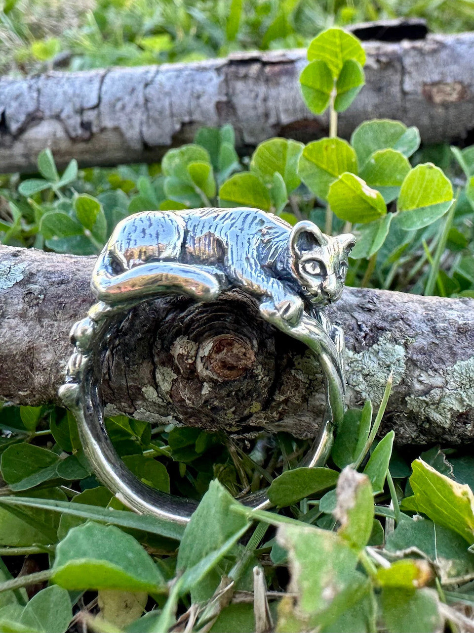 Cat Tail and Pussy Willow Ring