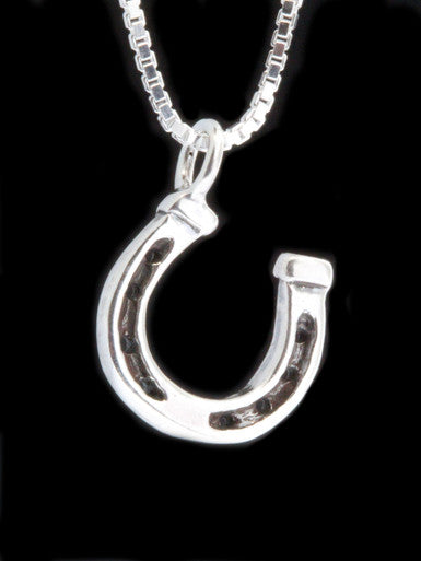 Good Luck Horseshoe Charm - Silver
