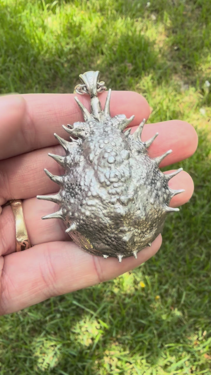 Adriatic Spider Crab Carapace with Ammonite Fossil Negative Treasure - Sterling Silver
