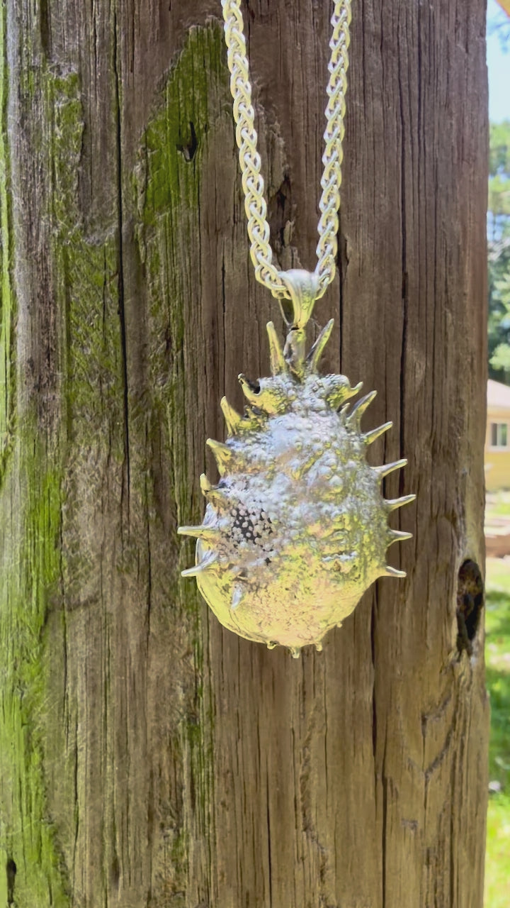 Adriatic Spider Crab Carapace with Ammonite Fossil Negative Treasure - Sterling Silver